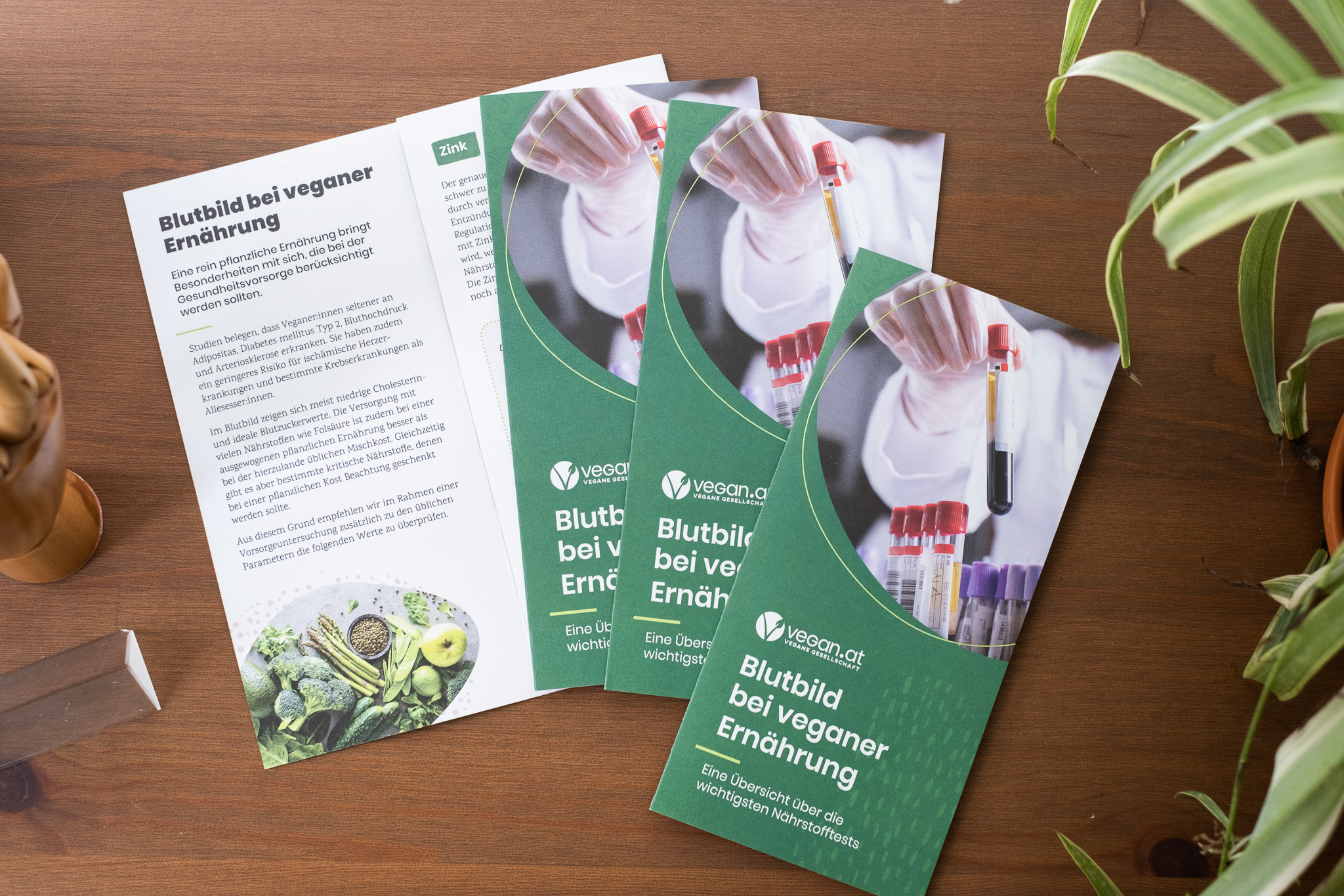 © VEGAN.AT Broschüre: "Blutbild bei veganer Ernährung - Eine Übersicht über die wichtigsten Nährstofftests""