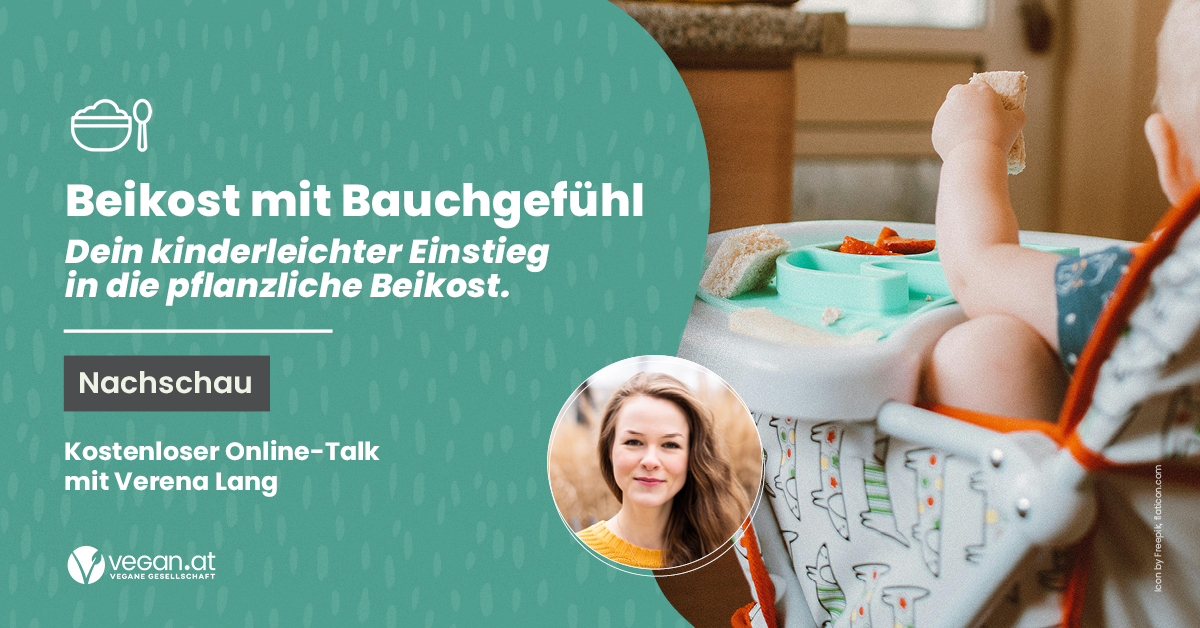 Nachschau Online-Talk „Beikost mit Bauchgefühl. Dein kinderleichter Einstieg in die pflanzliche Beikost“ mit Verena Lang