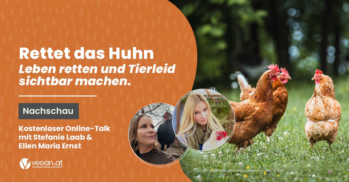 Nachschau Online-Talk „RETTET DAS HUHN – Leben retten und Tierleid sichtbar machen!“