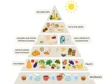 © Forschungsinstitut für pflanzenbasierte Ernährung (IFPE)
Quelle: Koch et al. 2026. Journal of Public Health. Pyramide mit Getränken, Gemüse und Obst, Vollkorngetreide, Hülsenfrüchten und pflanzlichen Milchprodukten, Nüssen und Samen sowie Supplementen.