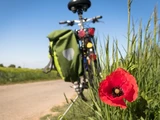 © -- Vegan Radfahren