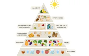 Pyramide mit Getränken, Gemüse und Obst, Vollkorngetreide, Hülsenfrüchten und pflanzlichen Milchprodukten, Nüssen und Samen sowie Supplementen.