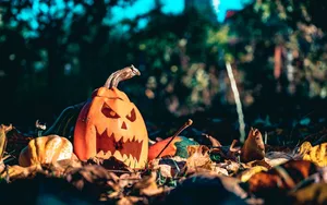 © Pexels | Chetan Vlad Ein ausgehöhlter Kürbis mit einem geschnitzten Gesicht liegt in herbstlichem Laub