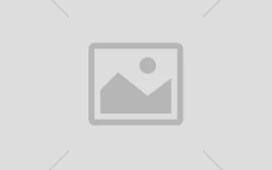 Fallback image