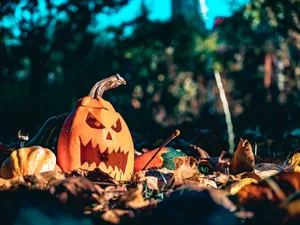 © Pexels | Chetan Vlad Ein ausgehöhlter Kürbis mit einem geschnitzten Gesicht liegt in herbstlichem Laub