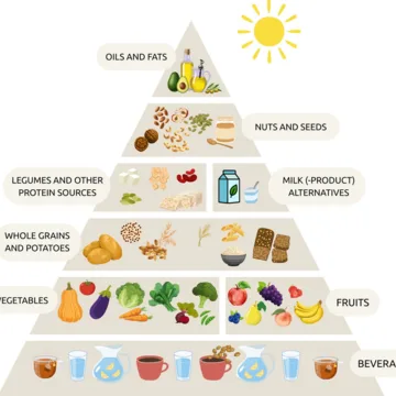 © Forschungsinstitut für pflanzenbasierte Ernährung (IFPE)
Quelle: Koch et al. 2026. Journal of Public Health. Pyramide mit Getränken, Gemüse und Obst, Vollkorngetreide, Hülsenfrüchten und pflanzlichen Milchprodukten, Nüssen und Samen sowie Supplementen.