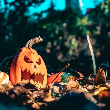 © Pexels | Chetan Vlad Ein ausgehöhlter Kürbis mit einem geschnitzten Gesicht liegt in herbstlichem Laub