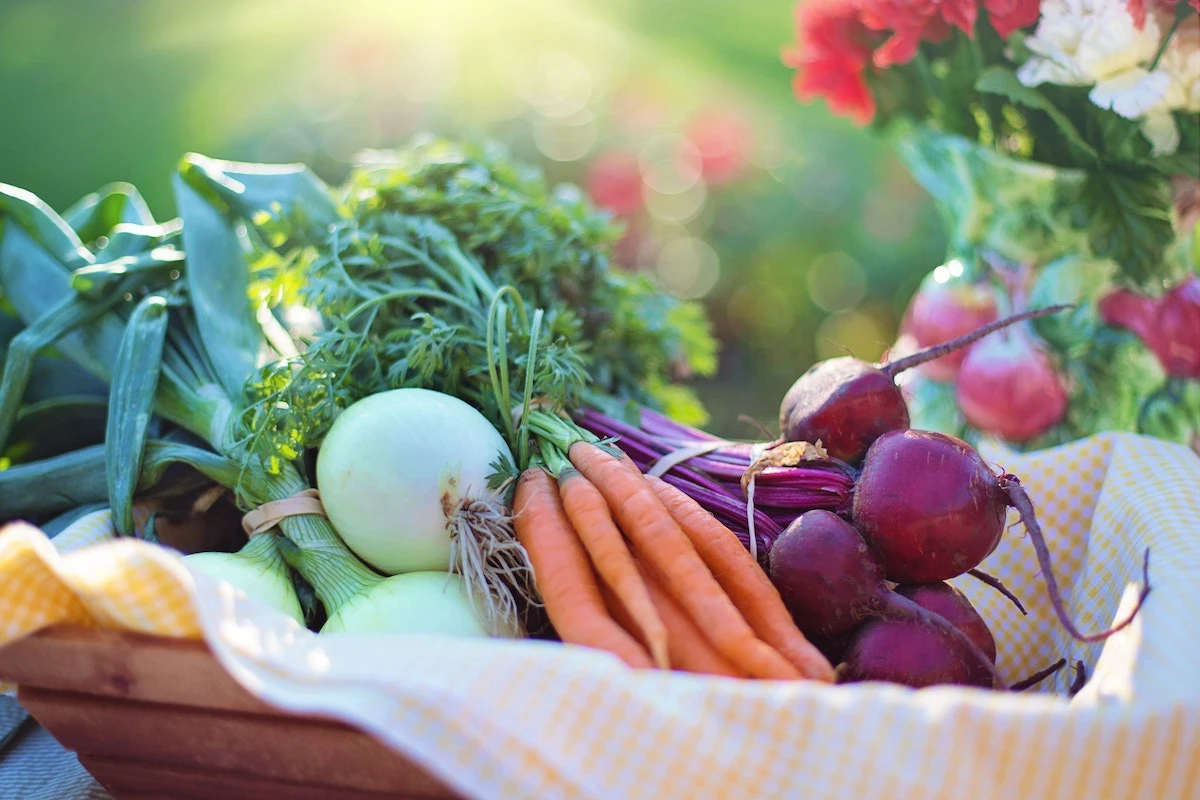 agriculture-basket-beets-533360_0_0.jpg