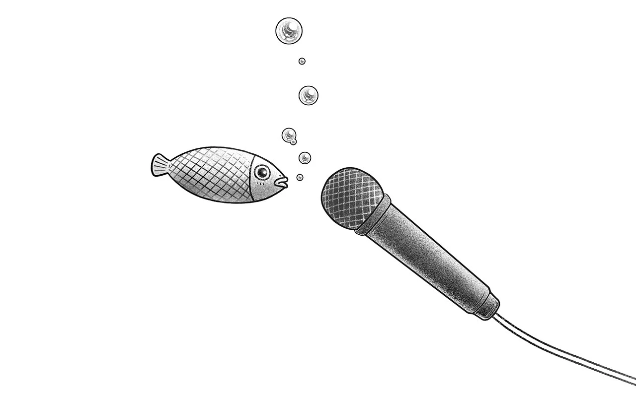 audio_fish.jpg