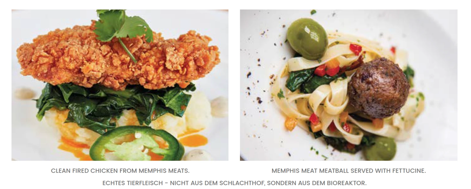 clean_meat_01.png