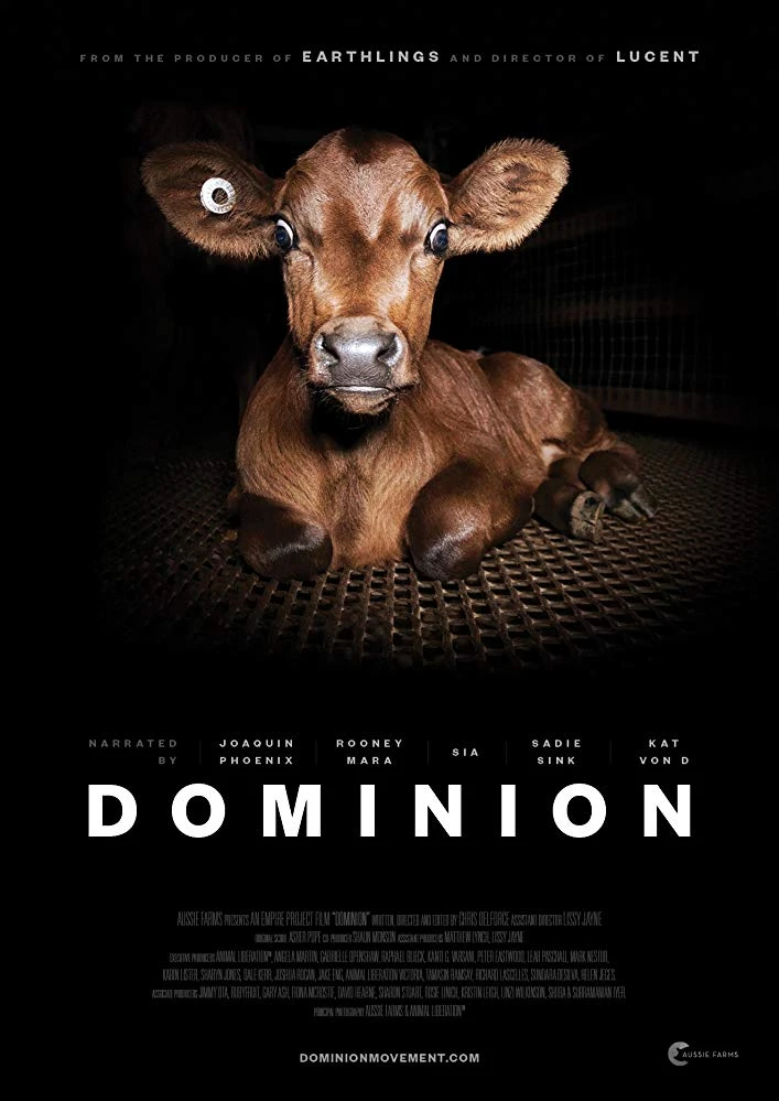 film_cover_03_dominion_2018.jpg