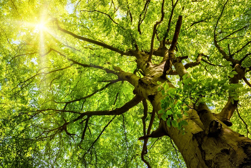 fotolia_62139086_s_2.jpg