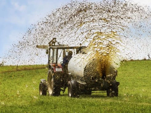 Das Feld wird mit Gülle gedüngt.