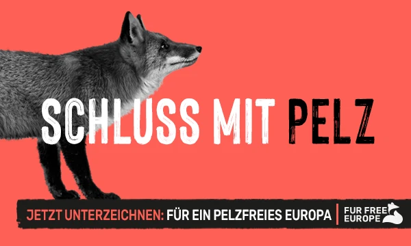 image_ebi_pelz.png