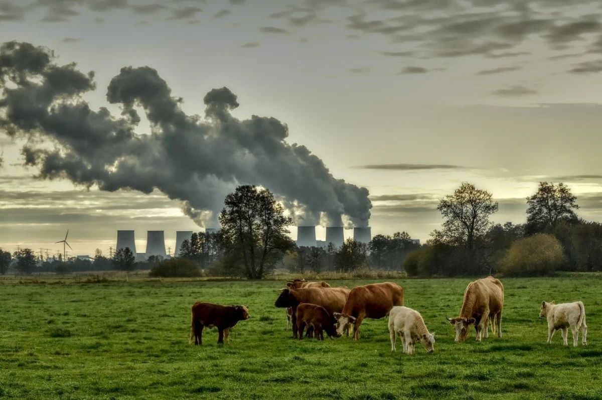 image_ipcc.jpg