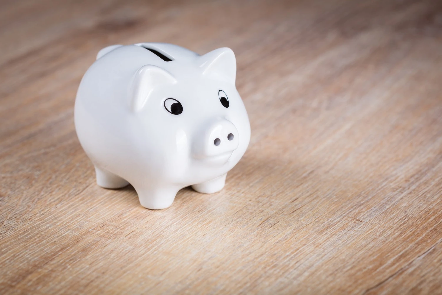 image_sparschwein_0.jpg