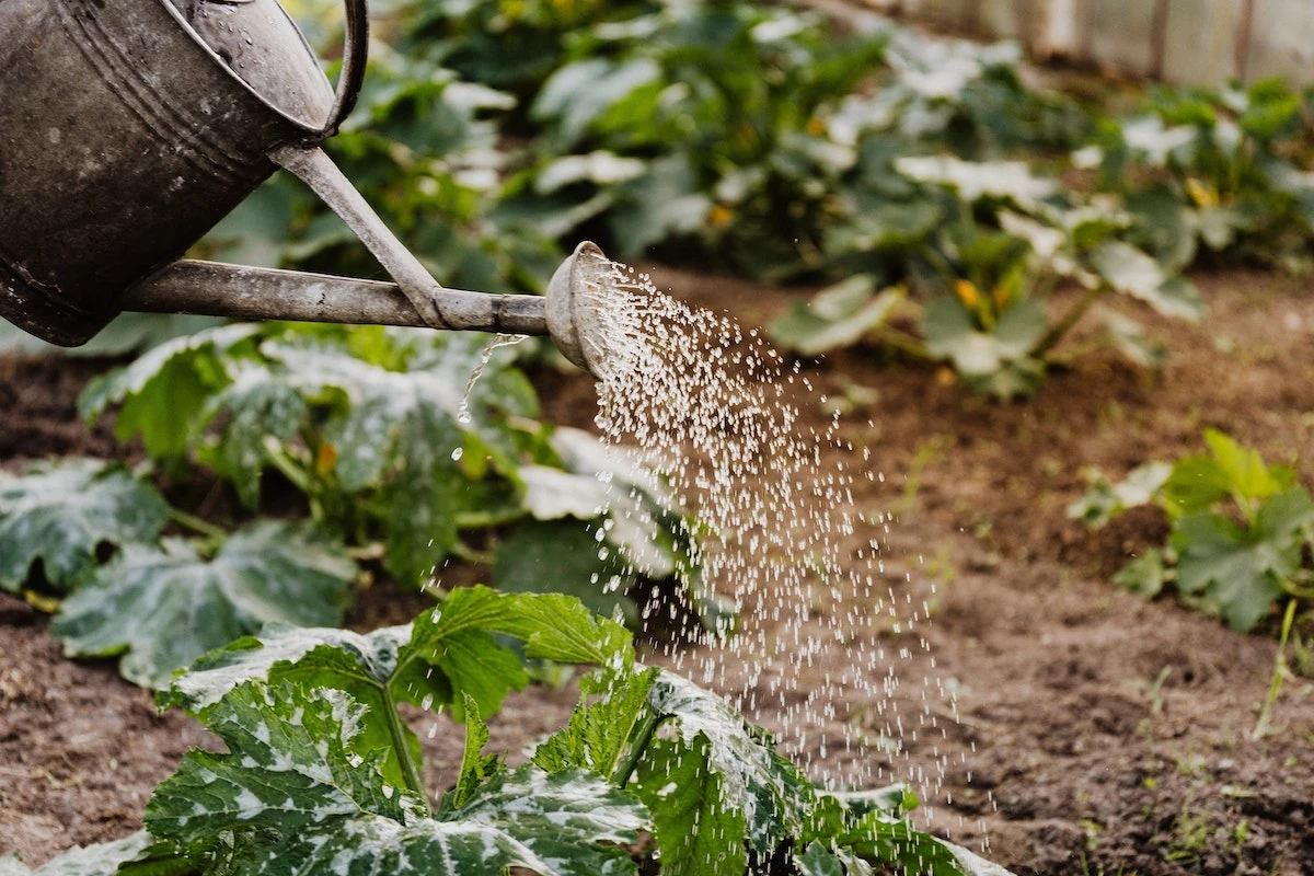 image_water_02.jpg