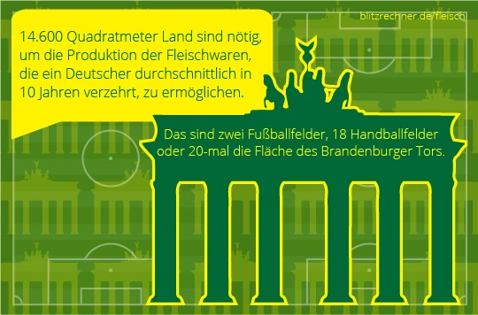 landverbrauch-fleischproduktion2.png