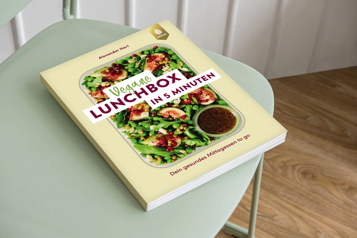 lunchbox_web.jpg