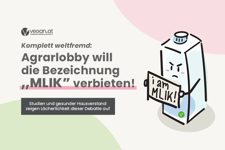 mlik_debatte_grafik.jpg