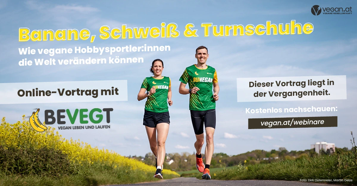 nachschau_bevegt_0.jpg
