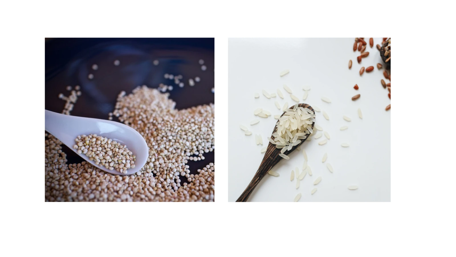 quinoa-reis.png