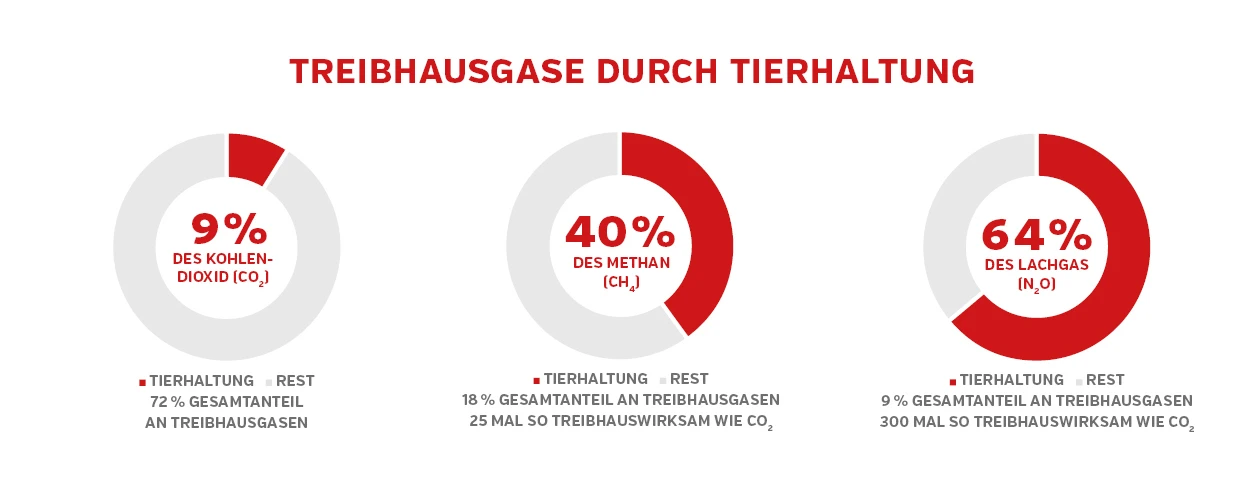 treibhausgase_durch_tierhaltung.jpg