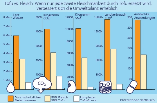 vergleich-tofu-fleisch2.png