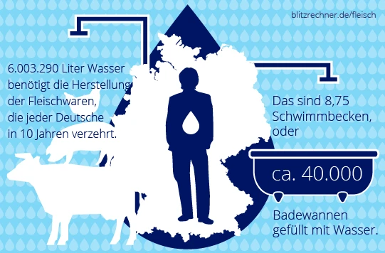 wasserverbrauch-fleischproduktion2.png